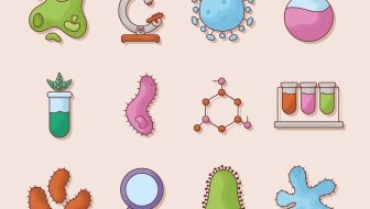 twelve biology items vector